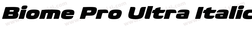 Biome Pro Ultra Italic字体转换